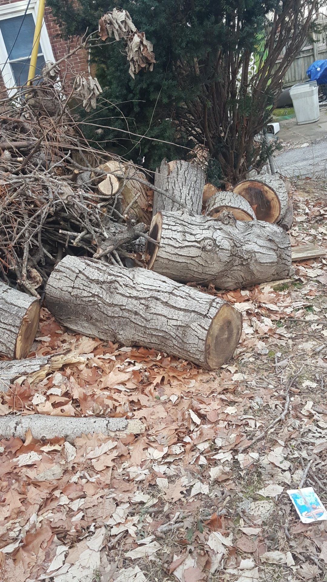 FREE NICE SMELLING FIREWOOD