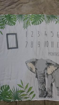 Infant month to month growth chart blankey