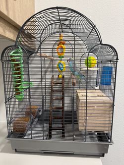 Bird Cage (Complete Kit)
