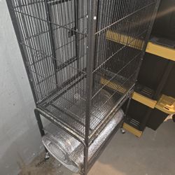 Bird Cage