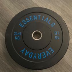 Everyday Essentials 45 LB Bumper Plate 20.41 KG Rubber Weight Single