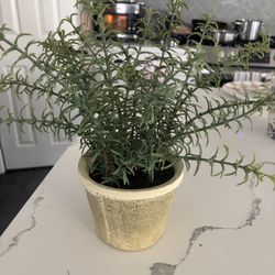 Small Faux Rosemary Plant 