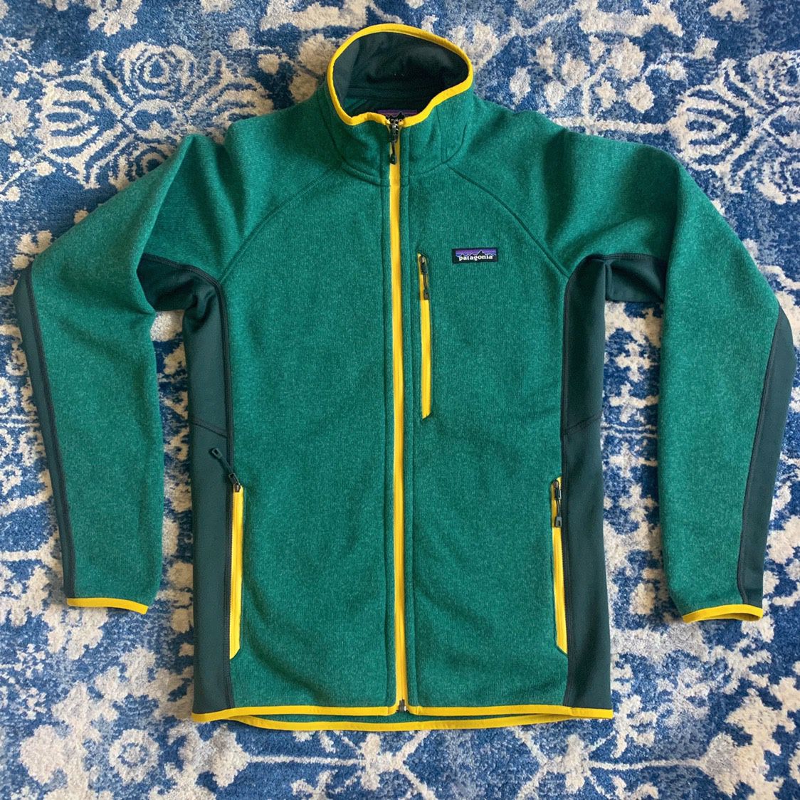 Patagonia fleece jacket
