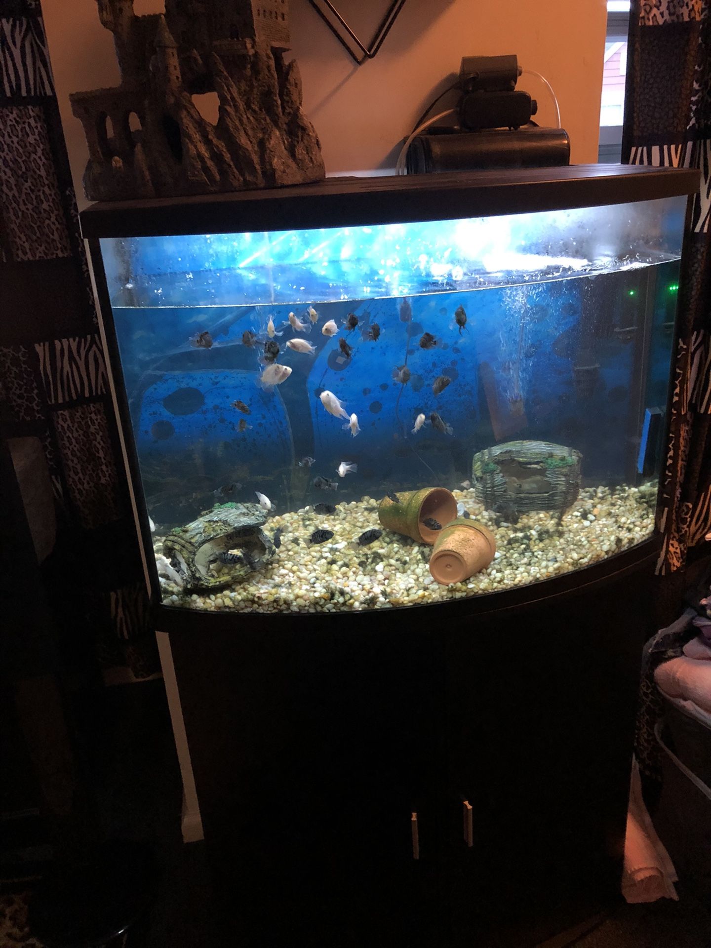 Fish Tank