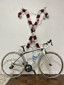 Trek Domane 5.2C | Carbon | 50CM | Road Bike