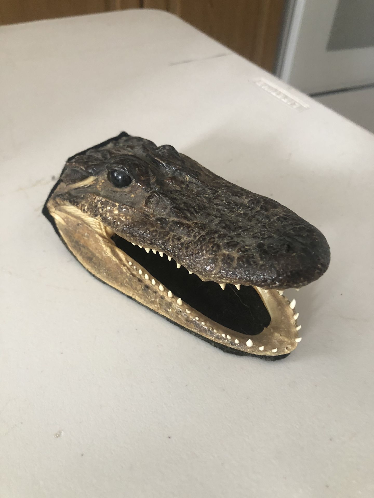 Alligator Head & Animal Wood Fixtures