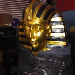 Mummy Bookshelf