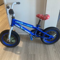 Toddler Starter Bike