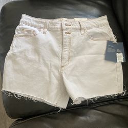 Women Shorts