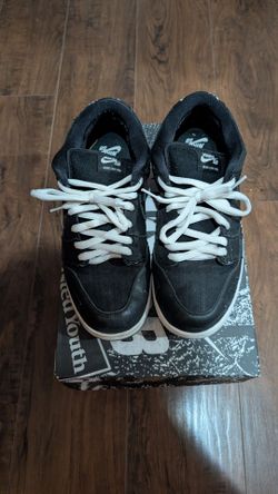 Nike SB Dunk Low Wasted Youth size 11