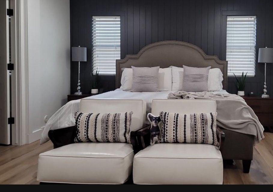 2  GORGEOUS MID CENTURY MODERN CHAIRS