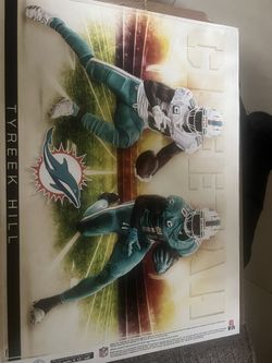 Dolphins