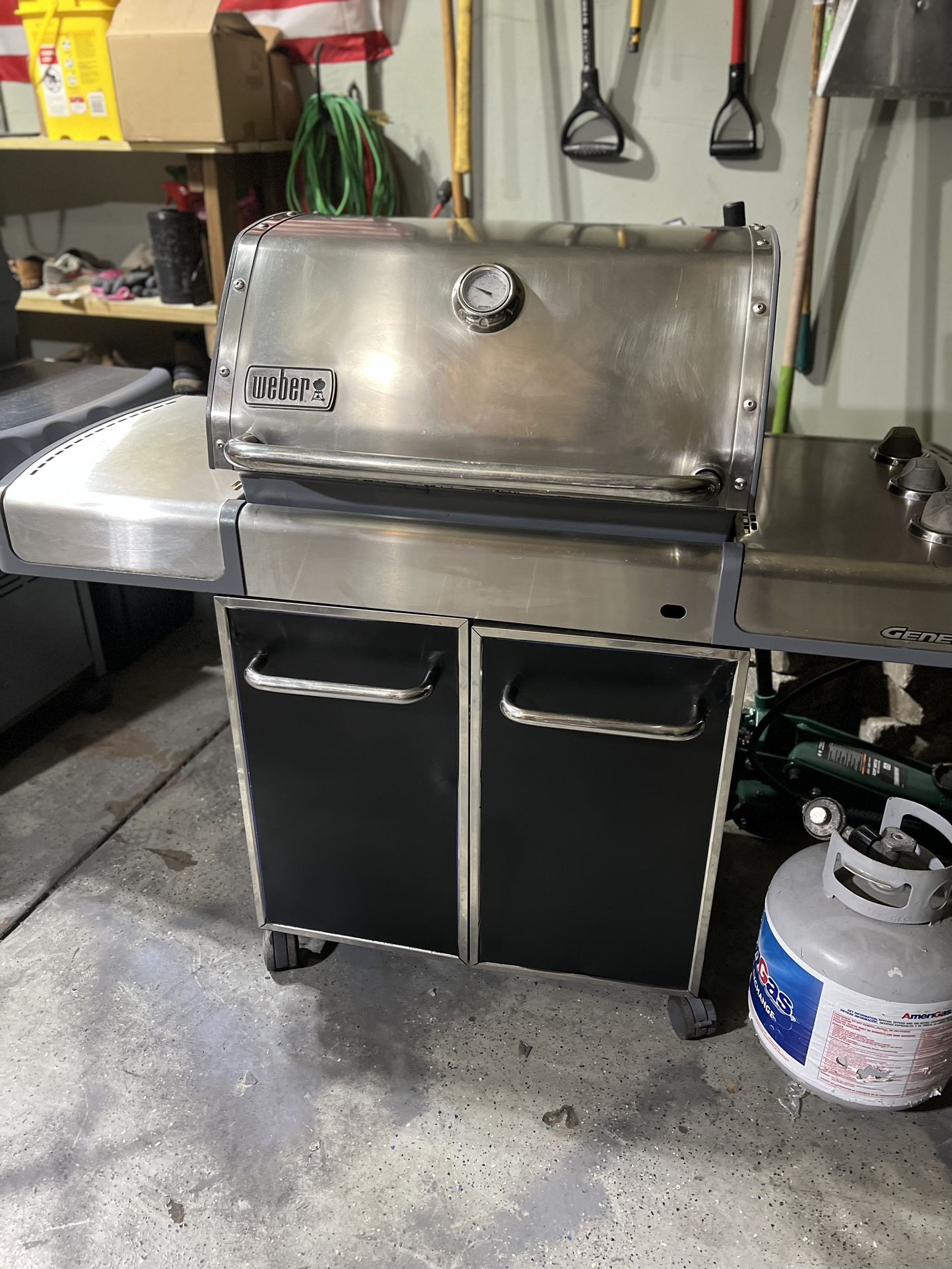 Weber Genesis Grill