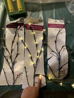 LED Lighted Branches