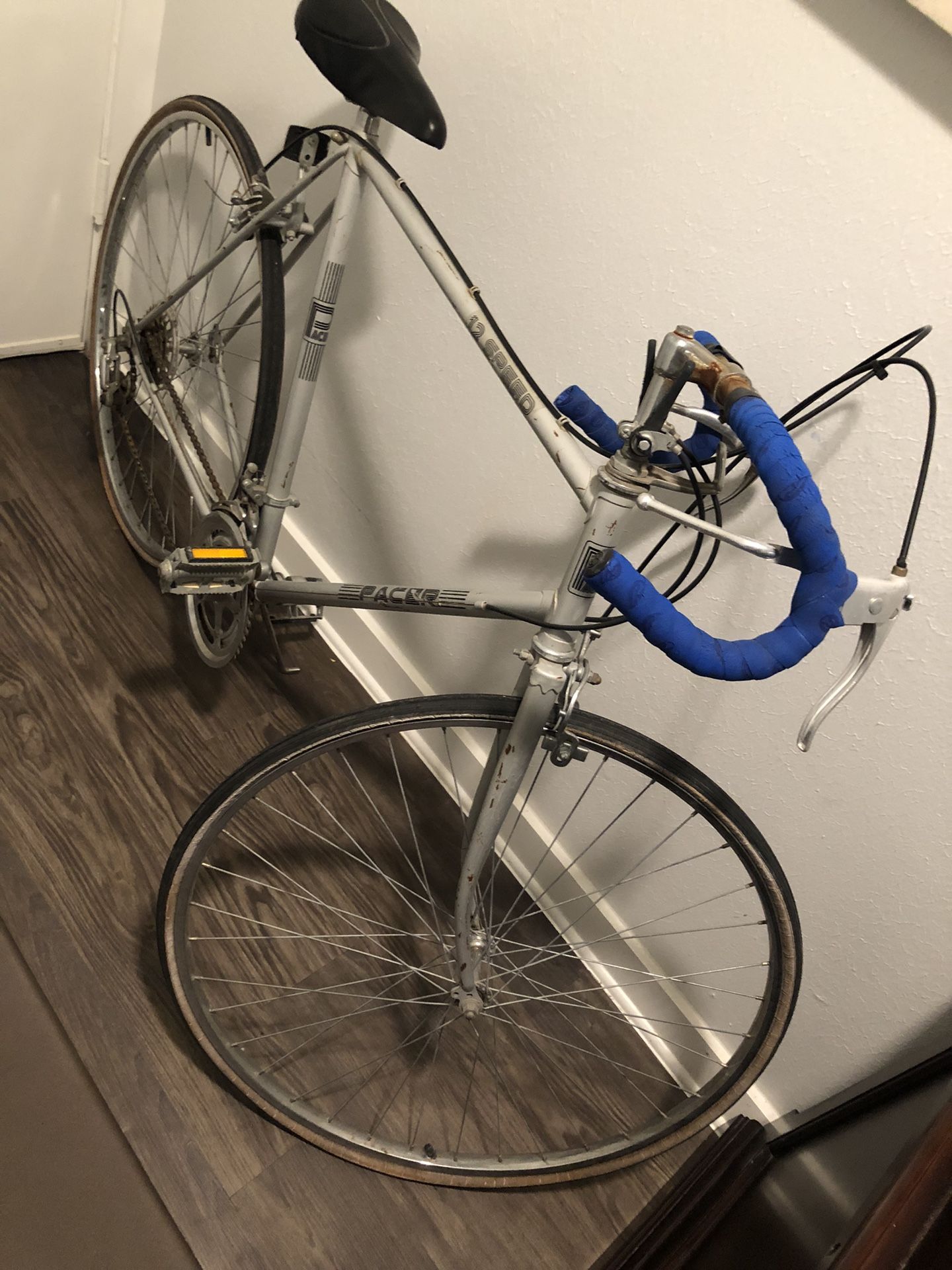 12 Speed Pacer Bicycle