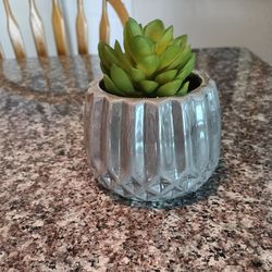 Decorative Artificial Plant 