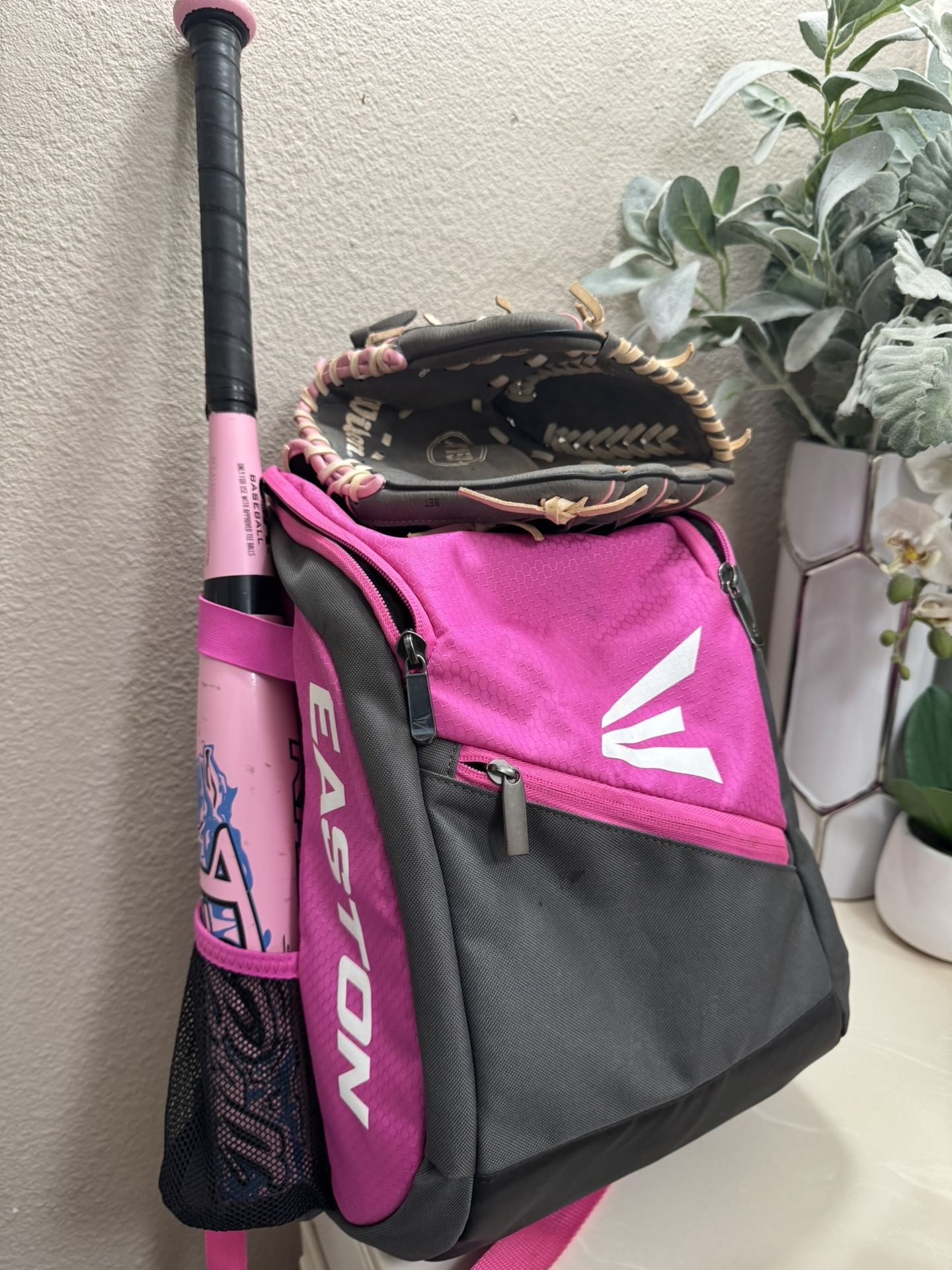 Softball Bag, Bat & Glove