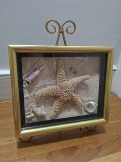 Framed Real Dried Starfish In A Decorative Gold Frame With Sand And Seashells