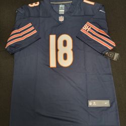 CALEB WILLIAMS CHICAGO BEARS BLUE JERSEY ALL STITCHED  LG