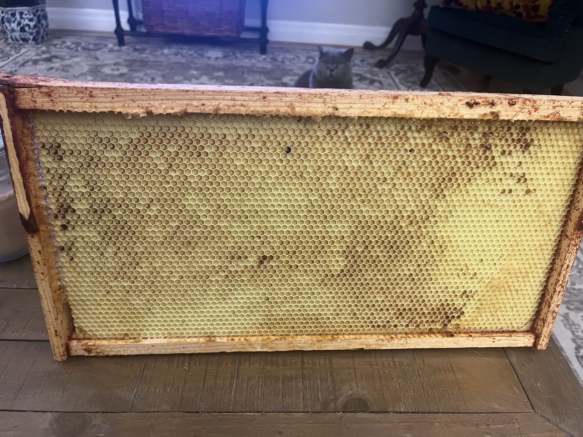 20-25 Used Bee Frames Langstroth