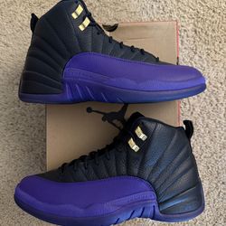 Size 11 (Pre owned, replacement box) - Air jordan 12 retro field purple