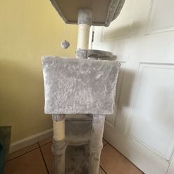 Cat/kitten house