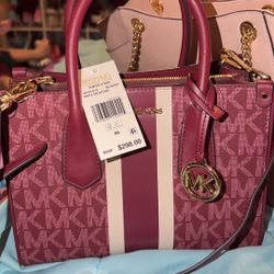 Micheal Kors Purse 