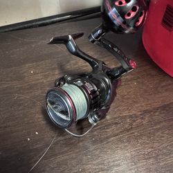 Shimano Reel