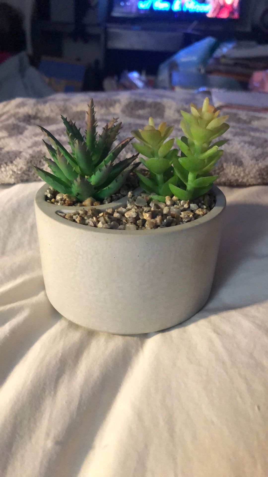 Faux Succulents