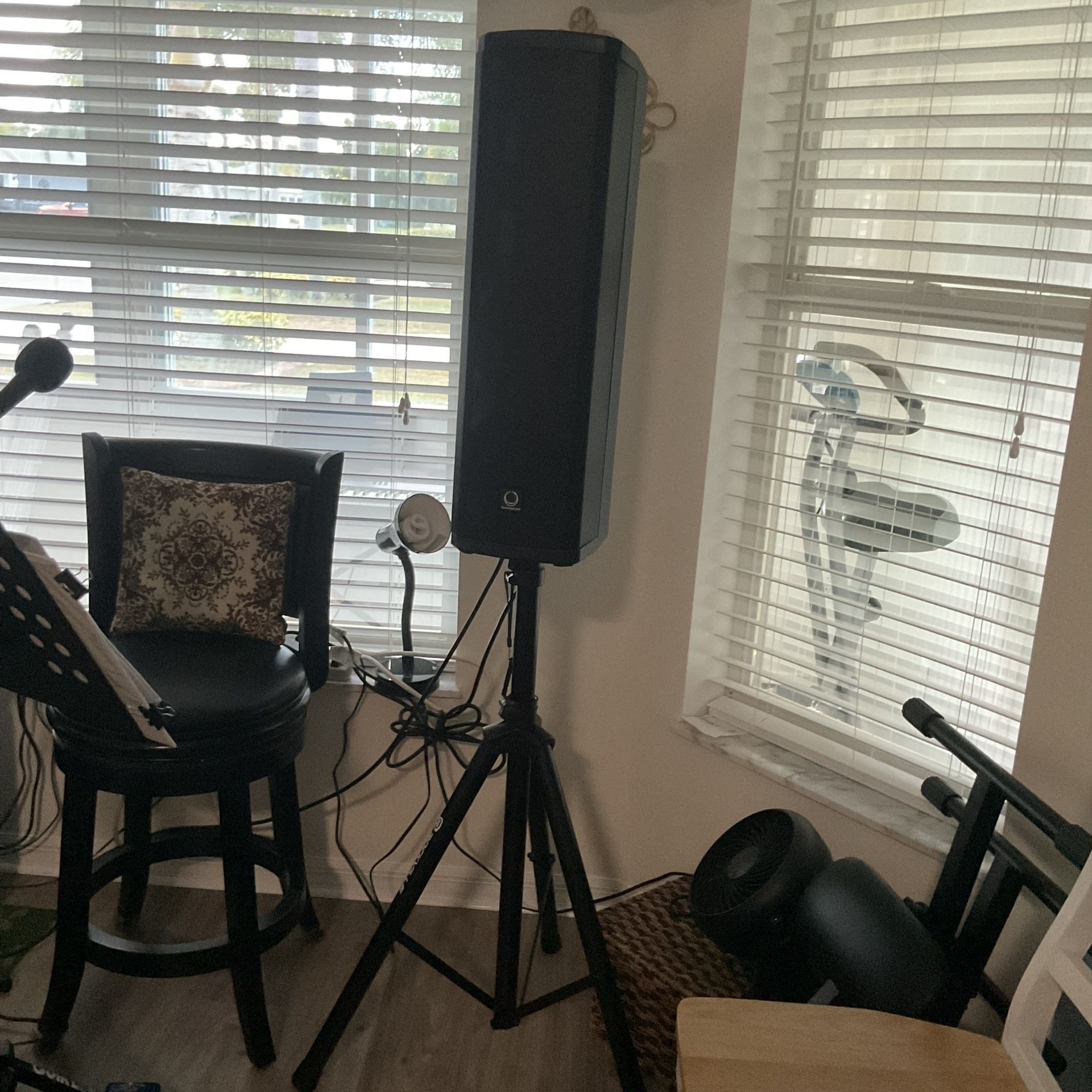 Turbosound iNSPIRE iP300….INCLUDING CARRY CASE & STAND…Excellent Condition..Senior Owned