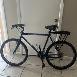 Giant Sedona 26” Frame XL Bicycle Bicicleta 🚴‍♂️🚴‍♀️🚲