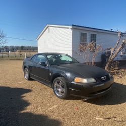 1999 Ford Mustang