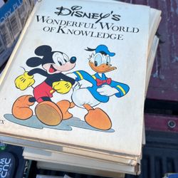 Disney Book Collection 