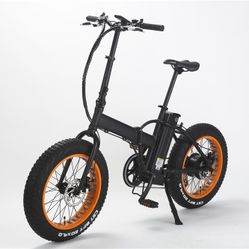 Electric bikes 