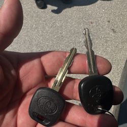 New Toyota Chipped Car Key- Only Have One?
