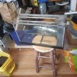 Fish Tank I Think 20 Gallon