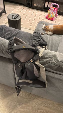 Baby Bjorn And Ergo baby Carrier