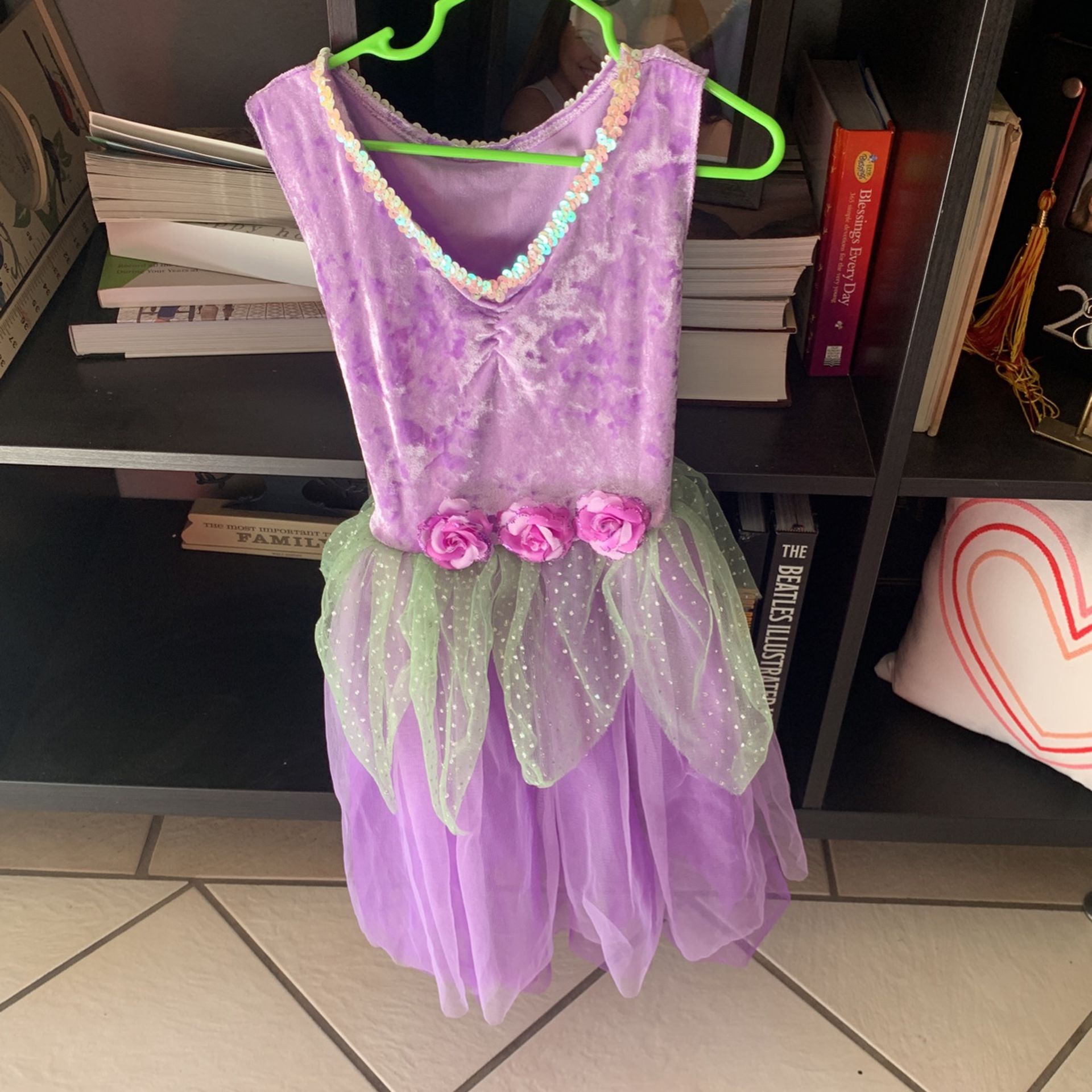 Princess/Fairy Dress