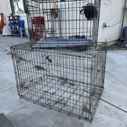 Dog Cage