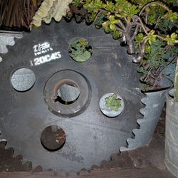 Large Martin Sprocket 120C45 Conveyor Belt 45 Tooth 22" Diameter Welded B Sprocket C Hub Conveyor Belt Wheel Industrial Steampunk Decor 