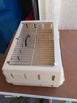 Cat Kennel