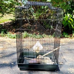 Bird Cage 