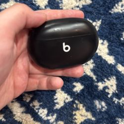 Beats wireless earbuds studio buds