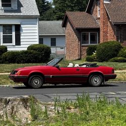 1984 Ford Mustang