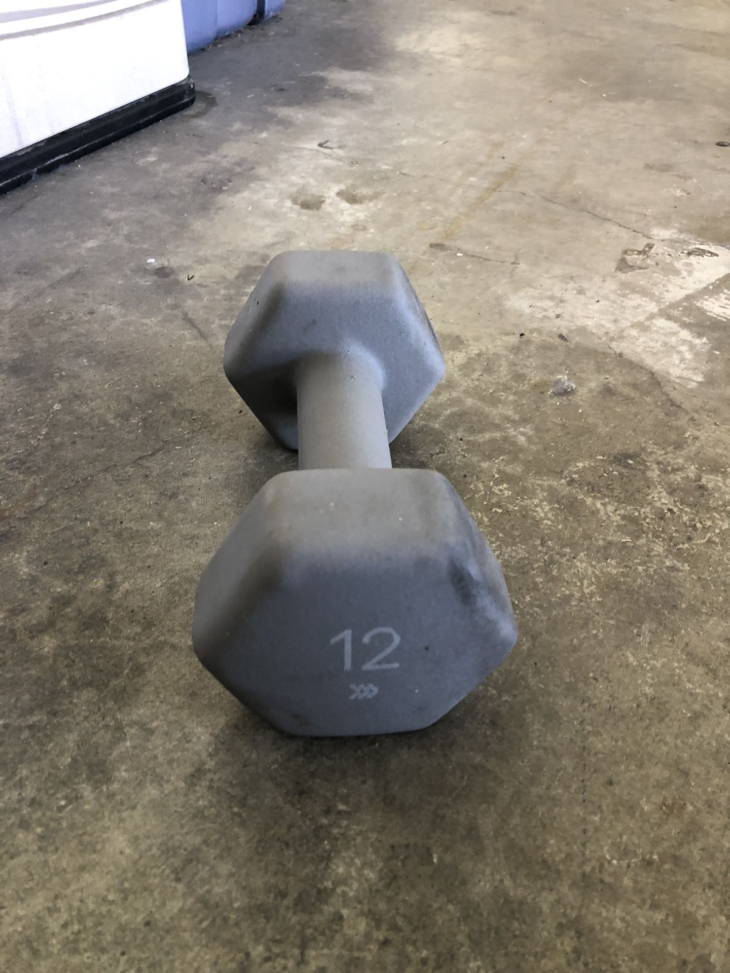 Single Dumbbell Weight of 12 Lbs for Sale