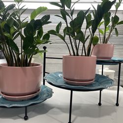 3 layers metal stand with plates