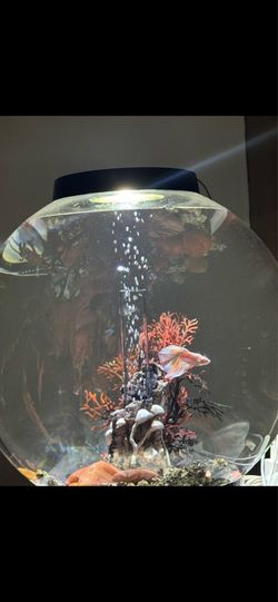 Biorb