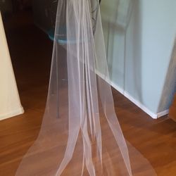  Beautiful New Wedding Veil With Simple Cut Edge Cathedral Length