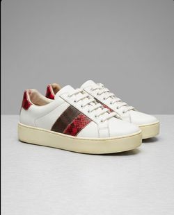 Coach / Michael Kors