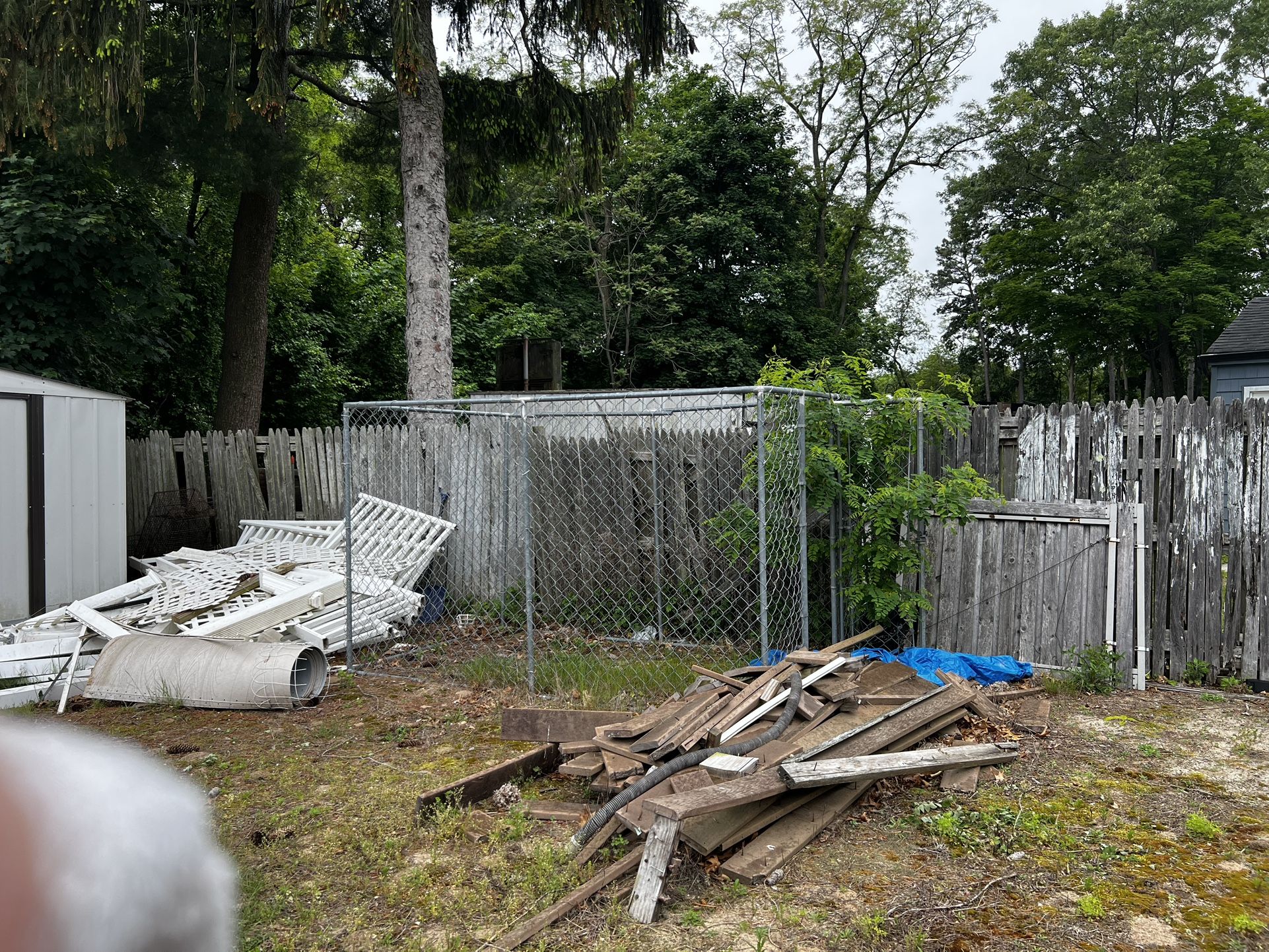 Dogs Cage